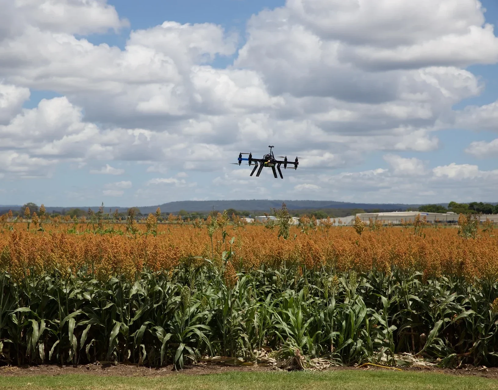 drone crops