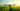 AI in precision farming