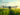 AI in precision farming