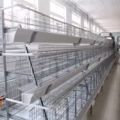 SmartLayer 10K™ – Automated Poultry Cage System - Image 3