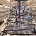 SmartLayer 10K™ – Automated Poultry Cage System - Image 4