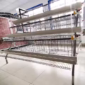 SmartLayer 10K™ – Automated Poultry Cage System - Image 2