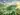 ai in agritech