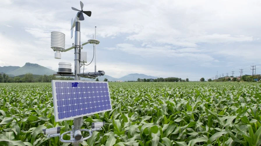 AI FOR BETTER YIELDS
