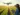 american farming