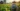 AI IN U.S FARMING