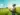 Can AI Predict Market Prices for Farmers